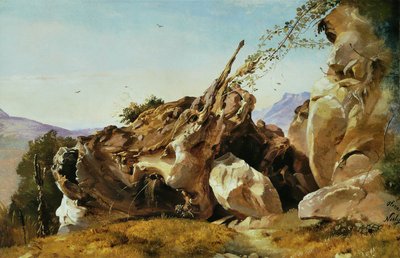 Study of Rocks and Roots near Olevano by Friedrich Nerly
